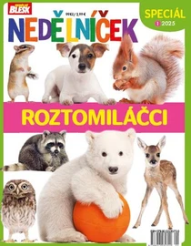 Nedělníček - roční předplatné