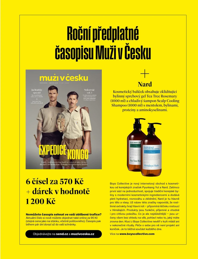 Roční
