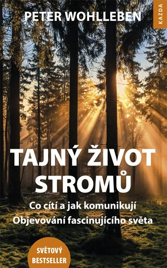 Roční