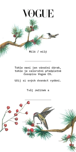 Vogue dárkový voucher.jpg