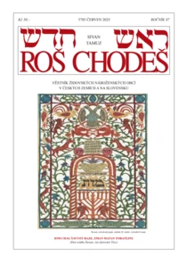 Roš chodeš
