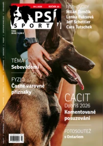 Psí sporty