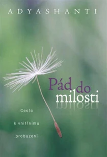 kniha Pád do milosti