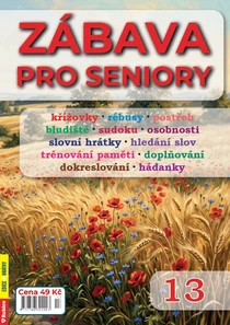 Zábava pro seniory