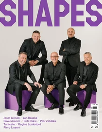 Shapes