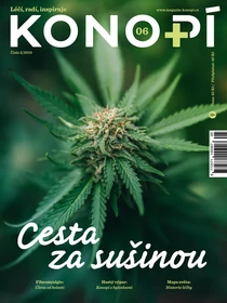 (6) 5/2019