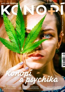 (11) 4/2020