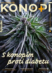 (13) 6/2020