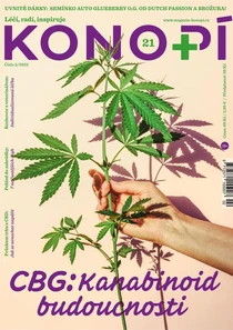 (21) 2/2022