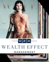 Akce - WEALTH EFFECT MANAGEMENT