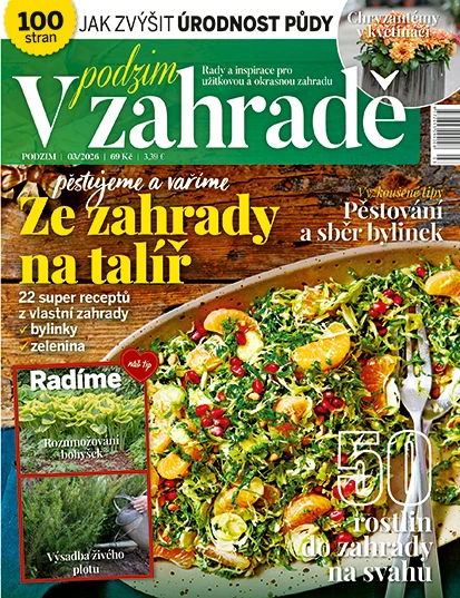 V Zahradě