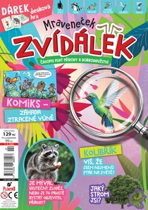2/2026