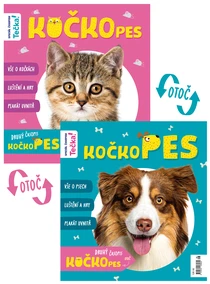 KočkoPes