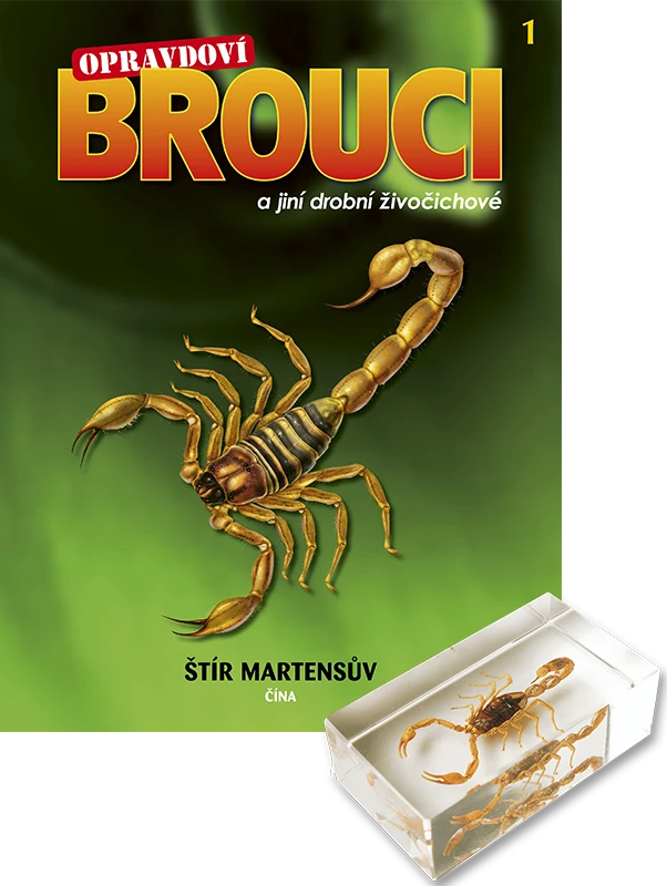 Opravdoví brouci II