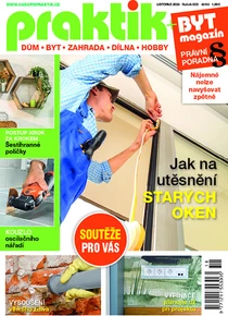Praktik