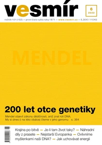 6/2022