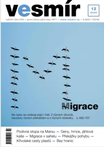 12/2025