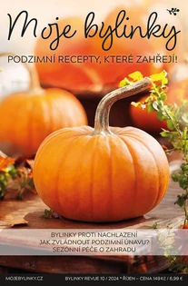 10/2024