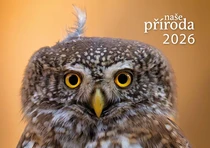kalendář 2026
