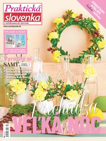 Praktická Slovenka